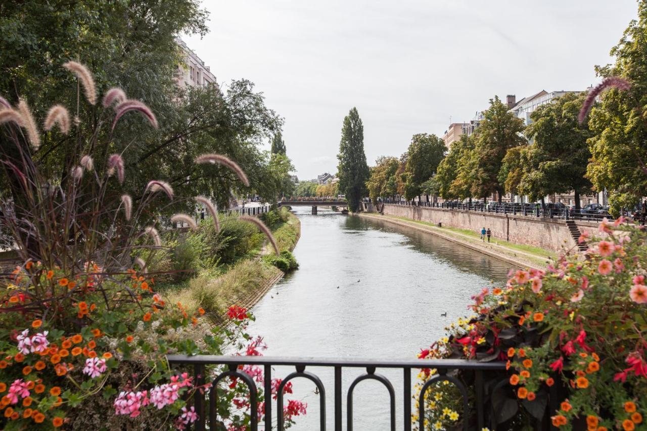 L'Appart Du Quai Avec Terrasse Strasbourg Luaran gambar